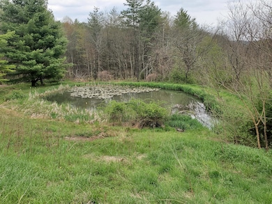 Pond with 10.4 acres