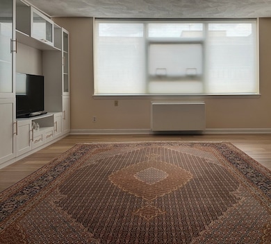 Hammond Park Condominiums unit 4, Chestnut Hill, MA 02467 - photo 7