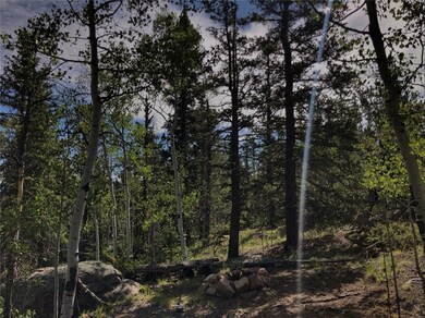 452 Kodiak Rd, Como, CO 80432 - photo 3