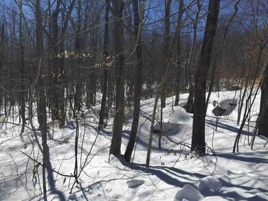 143 & 151 Tigola unit 143 & 151, Stoddard, NH 03464 - photo 5