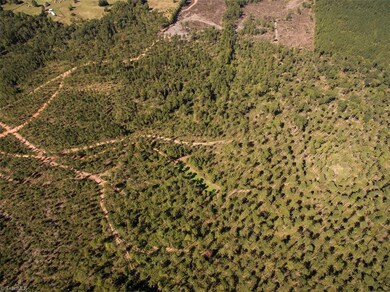 00 Burrell Allen Rd, Denton, NC 27239 - photo 7