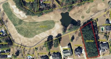 707 Hamlet Cir Aerial with Fairway resiz