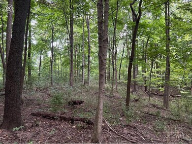 ac Richey Rd, Felicity, OH 45120 - photo 3