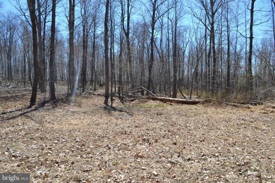 16418 Cedar Grove, Sparks, MD 21152 - photo 5