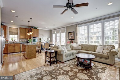 14208 Drayton Ave, Silver Spring, MD 20904 - photo 7