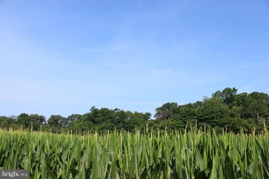 4 Possum Point Farm, Centreville, MD 21617 - photo 6