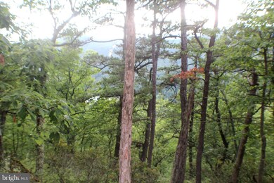 88.25 ACS Wilderness Way, Petersburg, WV 26847 - photo 4