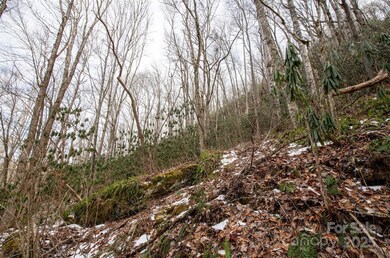 00 Lori Ln, Whittier, NC 28789 - photo 4