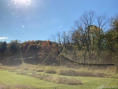 0 Primrose Hill Rd unit KEY827553, Red Hook, NY 12572 - photo 2