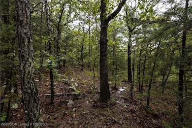 TBD Hoppers Pass, Wister, OK 74966 - photo 3