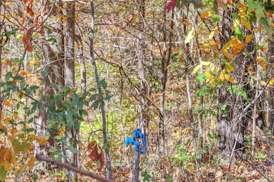 0 Batson Mill Rd unit 21819573, Charlotte, TN 37036 - photo 2