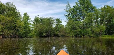 Kayak, canoe - pond access - alittle bit of everyt