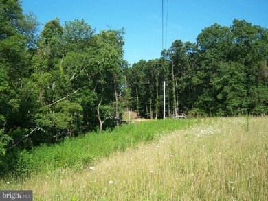 0 Magnolia Rd unit 1001180023, Great Cacapon, WV 25422 - photo 2