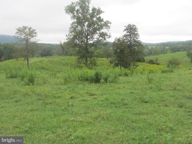 0 Lizzie Mills Rd, Castleton, VA 22716 - photo 3