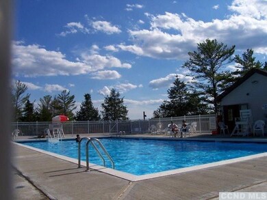 37 - PP Daredevil Dr, Sleepy Hollow Lake, NY 12015 - photo 6