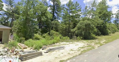 0 SW 169th Place unit MFRO6363221, Ocala, FL 34473 - photo 5