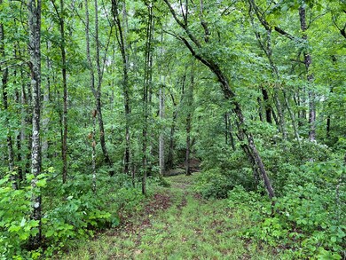 0 Burgess Loop unit 210762, Crossville, TN 38572 - photo 2