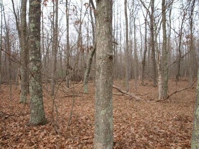 0 N Centerline Rd unit 13065638, White Cloud, MI 49349 - photo 3