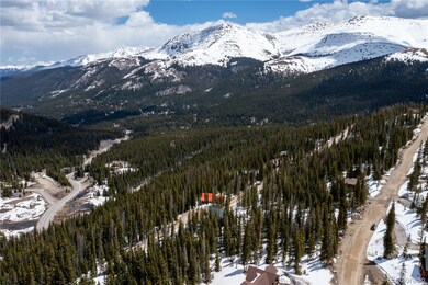 356 Hamilton Ln unit 10, Breckenridge, CO 80424 - photo 3
