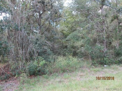 1630 E Sheridan Ln, Hernando, FL 34442 - photo 2