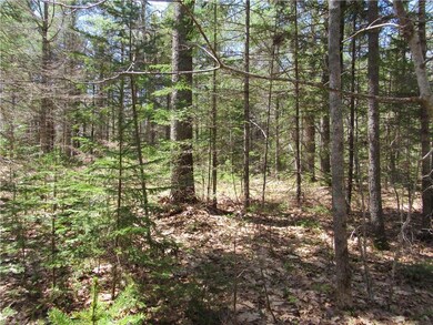 0 Pemaquid Harbor Rd unit 1308197, Bristol, ME 04539 - photo 2