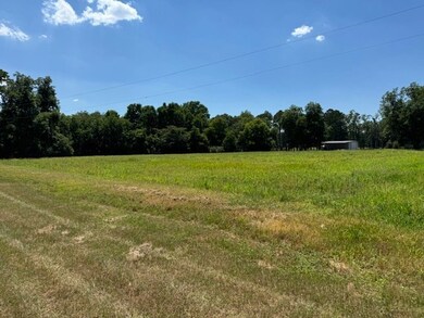 0 Haralson St unit 137599, Rebecca, GA 31783 - photo 2