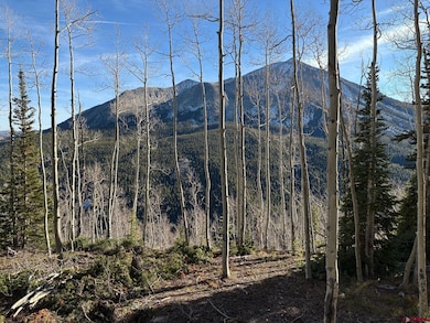 980 Saddle Ridge Rd, Crested Butte, CO 81224 - photo 2
