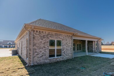 175 Pike Parvin Rd, Meridianville, AL 35759 - photo 4