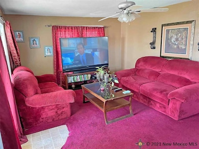 1005 N Linam St, Hobbs, NM 88240 - photo 3