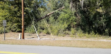 0000 N Lemacks St, Walterboro, SC 29488 - photo 2