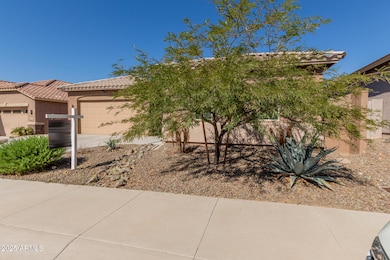 10502 W Swayback Pass, Peoria, AZ 85383 - photo 5
