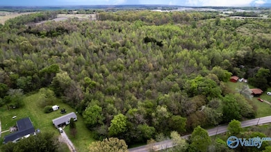 75.72 Acres Carters Gin Rd, Toney, AL 35773 - photo 3