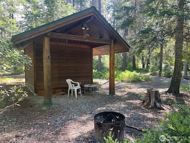 12360 W Shurgart Flats Rd, Leavenworth, WA 98826 - photo 6