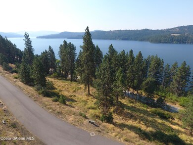 NNA Dusk, Harrison, ID 83833 - photo 5