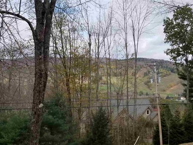 296 Chester Arthur Rd, Hartford, VT 05001 - photo 4