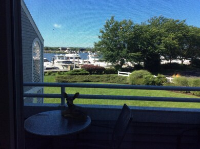View from deck
