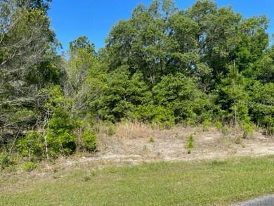 8668 N Spartan Dr, Citrus Springs, FL 34433 - photo 4