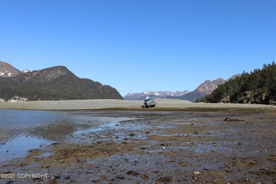 IMG_0361 - Copy