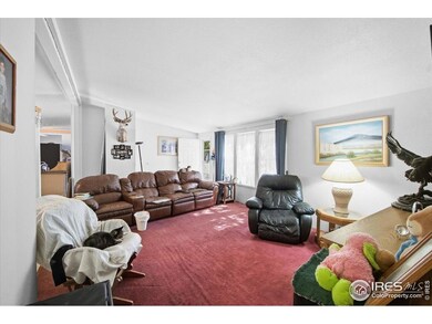 135 Poplar St, Lochbuie, CO 80603 - photo 5