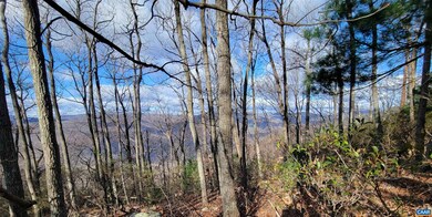 TBD Cc Rd, Madison, VA 22727 - photo 4