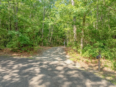 1298 Cold Stream Trail, Big Canoe, GA 30143 - photo 7