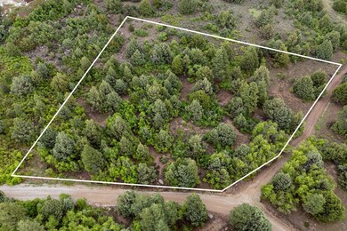5-web-or-mls-Oak Tree Lot - www.aspencre