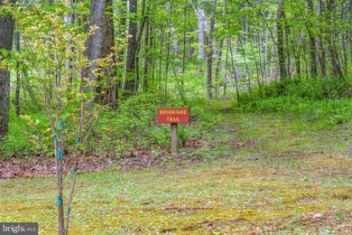 117 Valhalla Trail Ln, Amissville, VA 20106 - photo 6