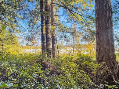 300 Kerr Rd, Silver Lake, WA 98645 - photo 7