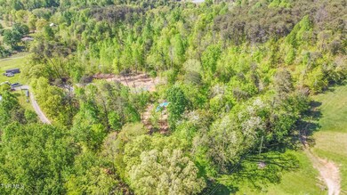 Tbd Dunville Gap Rd, Rutledge, TN 37861 - photo 6