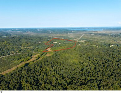 Lot #6 E Bellinger Rd, Cedar, MI 49621 - photo 3