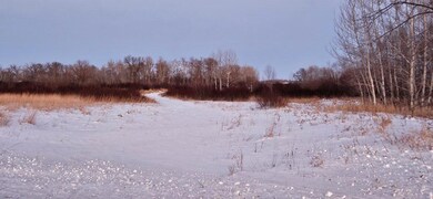 Parcel 4 Cr-68 NE, Carlos, MN 56319 - photo 3