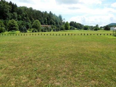 30 Taylor Hill Rd, Hughesville, PA 17737 - photo 5