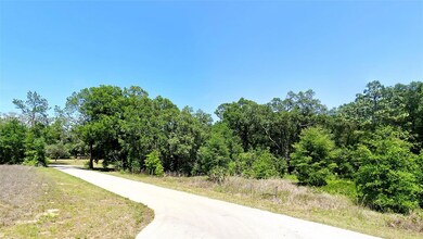 undetermined SW 200th Ct, Dunnellon, FL 34431 - photo 4