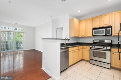 The Grove At Arlington unit 1102, Arlington, VA 22206 - photo 7